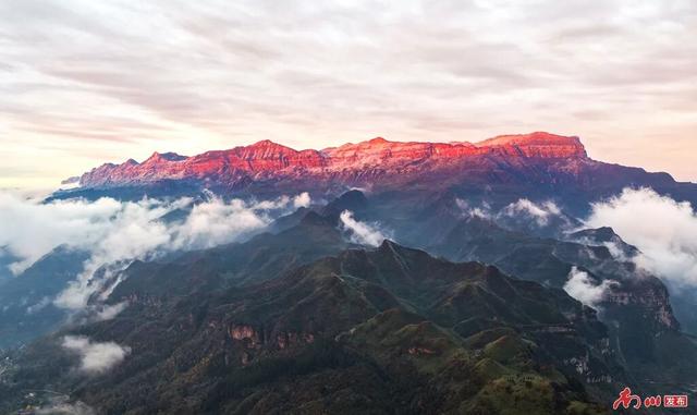 图片新闻︱南川彩韵：半山熔金半山翠，一树千年一树春