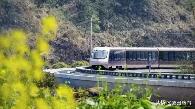 凤凰磁浮观光快线：穿梭烟雨凤凰的科技与文化之翼
