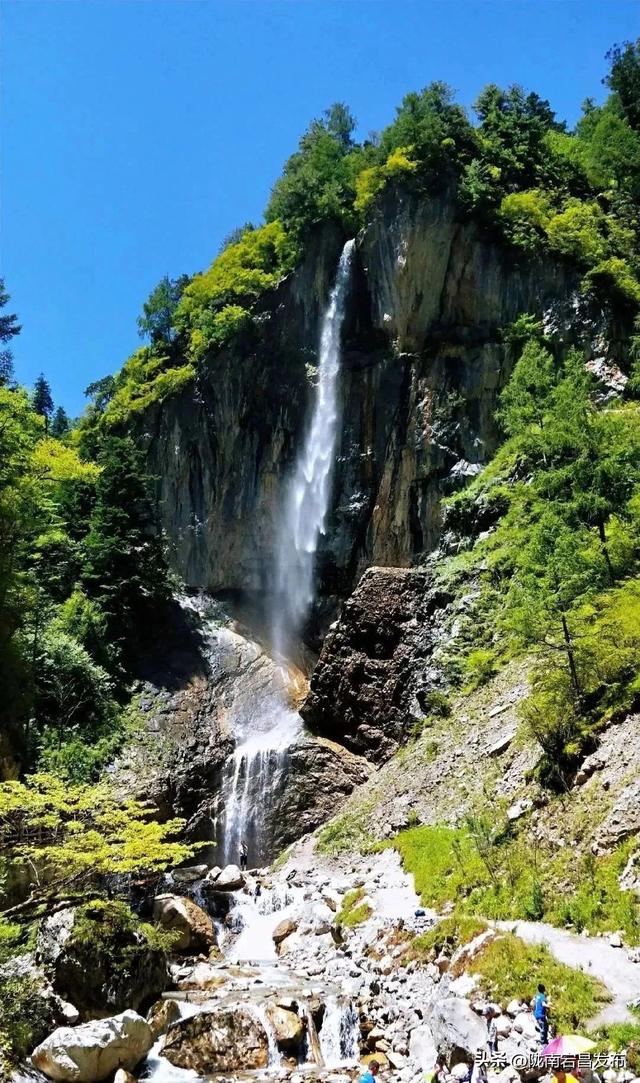 避暑胜地·康养宕昌｜娥嫚引我入青绿，共赏官鹅盛夏私语
