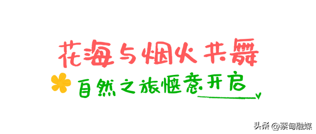 双节何必远行？拿捏松弛感，宝藏蔡甸在等你！
