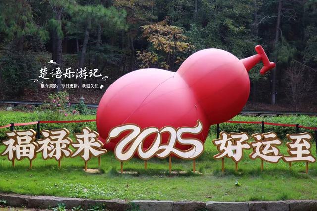 浙江宁波这座山巅古寺的银杏火了，红枫与水杉林也很美，堪比油画