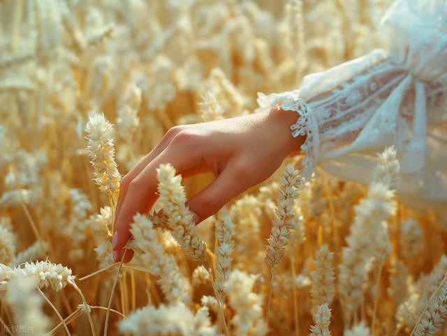 每天都是独一无二的限量版	，活出自己的精彩和风景