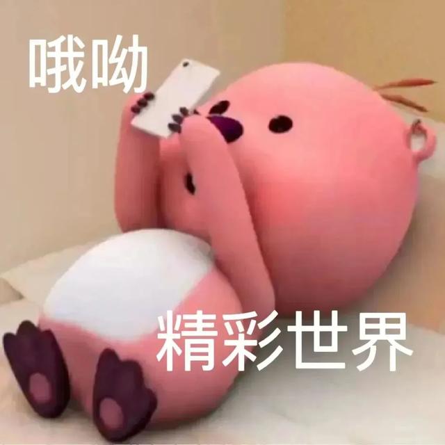 表情包 | 退网了 令人心寒