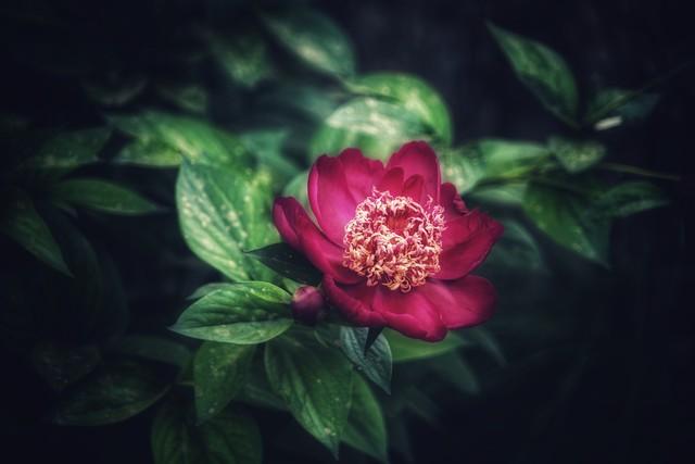人有色相，一看便知：有色相的人，往往都会有这5个明显特征！