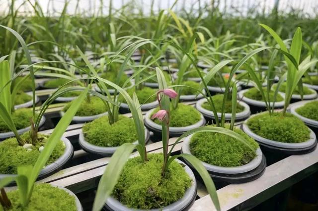 成都潮玩新地标+12!