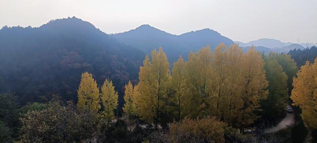 骊山红叶似火 车辆行人如织