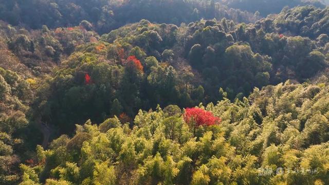 贵州天龙山初冬：斑斓画卷中的时光低语
