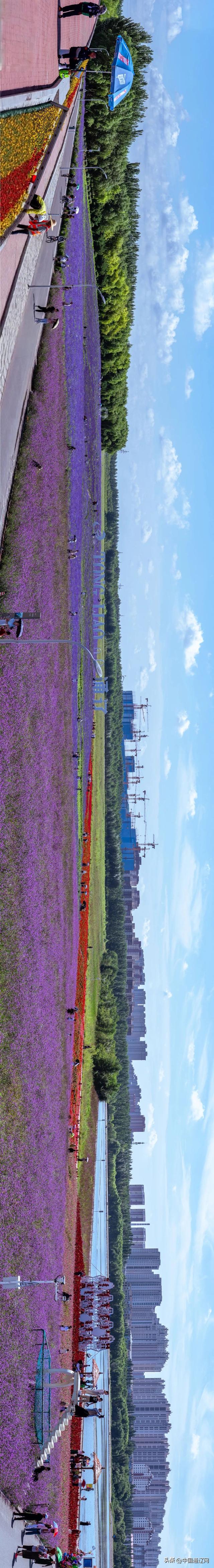 图看通辽 | 通辽，绝绝紫！