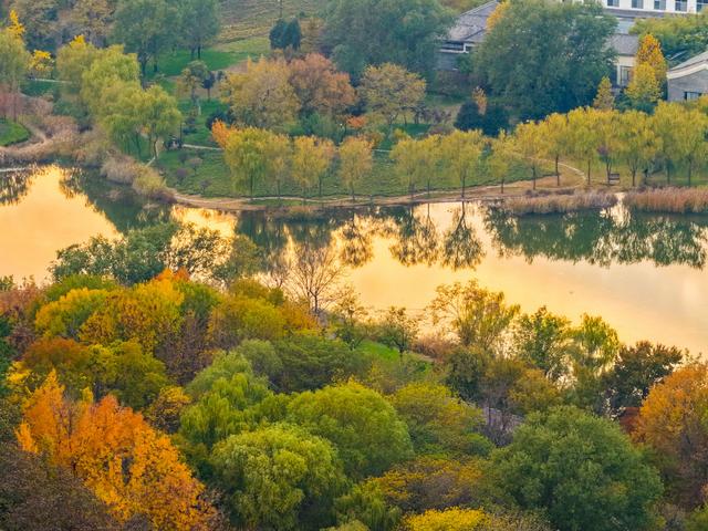 初冬访复圣文化园：与色彩和哲思对话