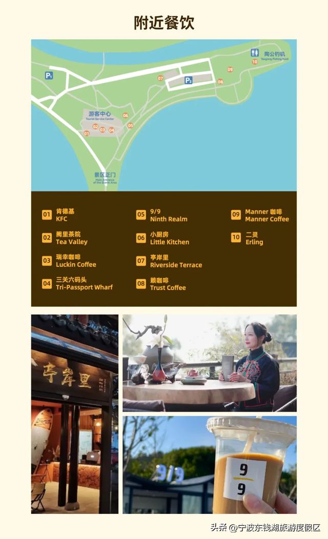 一场迟到的银杏雨，给钱湖南路染上了秋天的颜色~