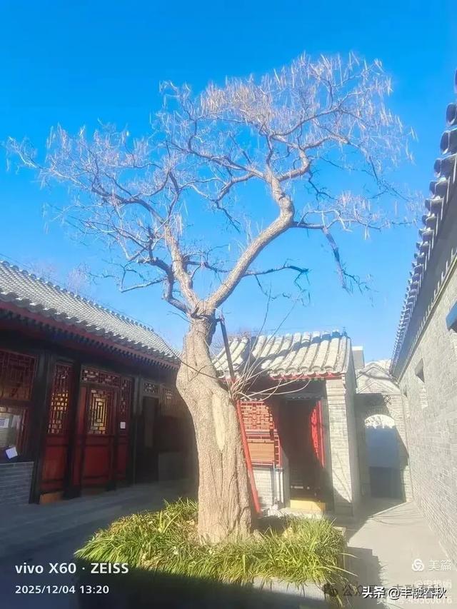 米市胡同里的百年潮音——参观北京康有为故居记|申艳娟