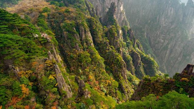 紧急播报：黄山秋色已达峰值，100%颜值在线，速来！| 皖美冬日 | 第十五届安徽国际文化旅游节