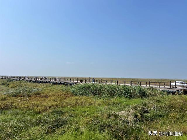 吴城“世界湿地，候鸟王国”