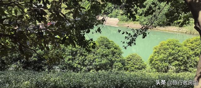 太意外了，原来从旺山风景区到上方山国家森林公园是如此的近