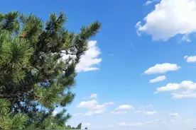 毛选：一种成功发现规律的上等方法图片