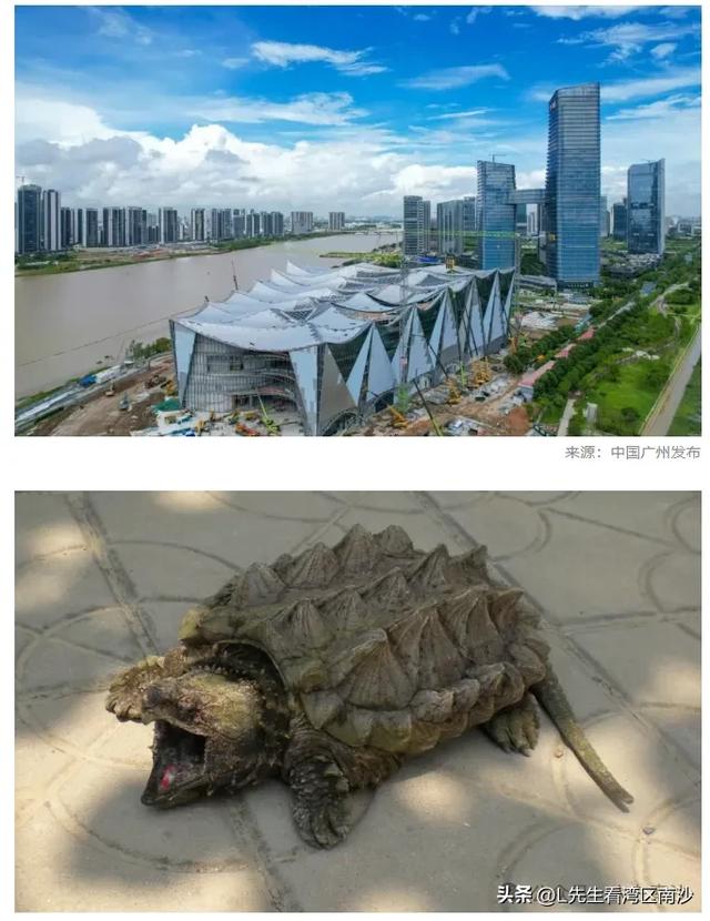 南沙大帐篷又有新外号？这次还是挺符合灵山岛的
