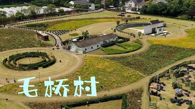 不出上海！这5个村子牛到让你怀疑人生！