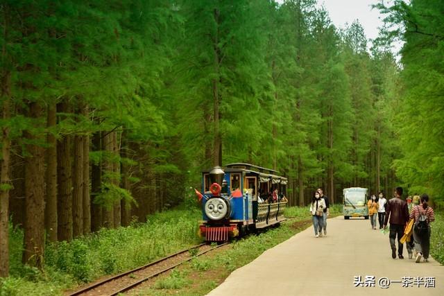 自驾攻略！江苏淮安6天5晚轻松自驾游线路，从市区到周边顺序安排