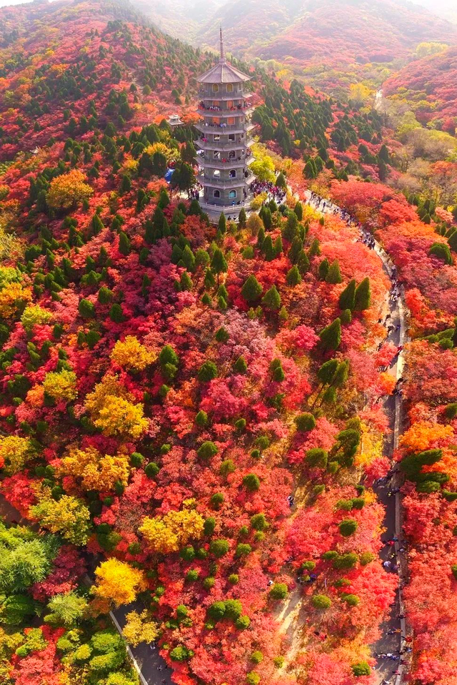 董宇辉向世界推荐，“请花几天时间去山东”！