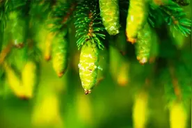 令人心动的收到礼物文案,珍藏时刻，品味高级图片