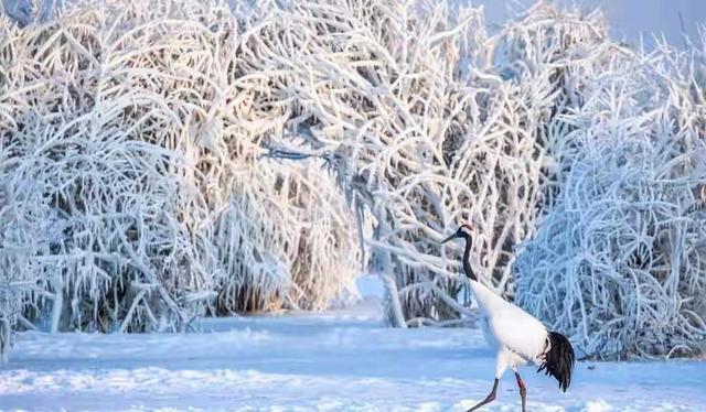 “不惧立冬晴一天，就怕立冬一天雨	”，今日立冬，雨天有何预兆？