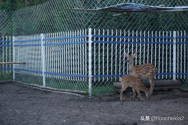 3200公里东北行（D2）——伊春北山公园