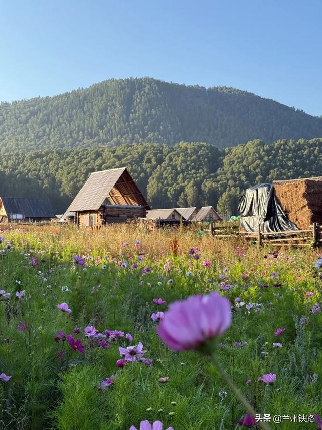 走，坐火车去新疆感受初冬韵味！