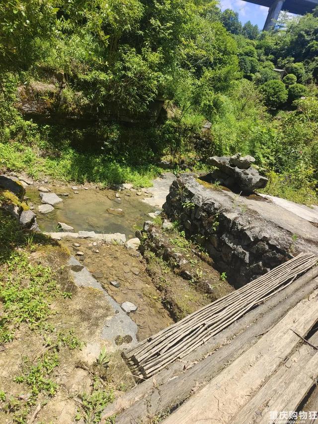 气温20℃+！重庆小众避暑点，吹凉风，捉小鱼，一日游也能耍安逸
