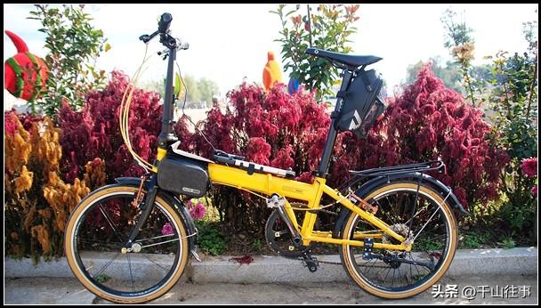 芒果黄穿行古意秋光：大行045折叠车解锁薛城至墨子故里骑行秘境