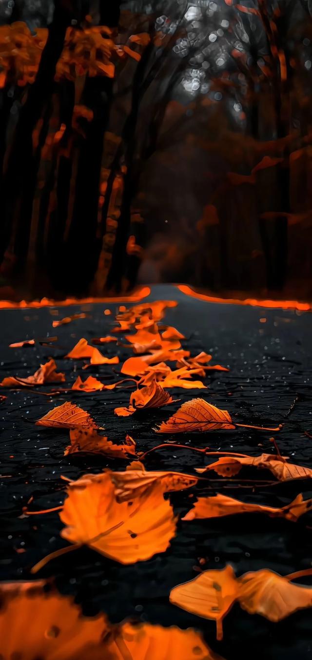 #我们一起看最美的自然风景