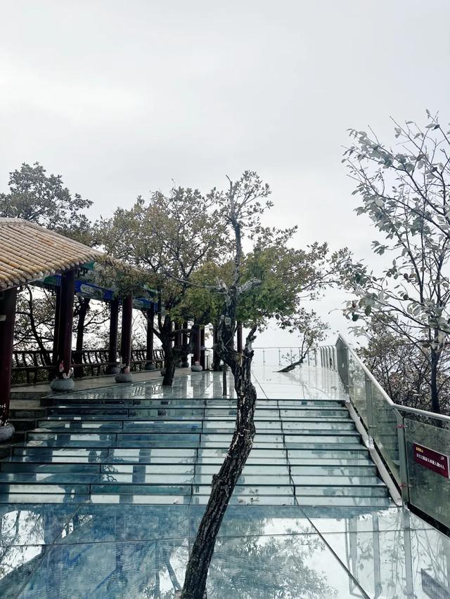 秋冬遛娃“药”新鲜!能吃能玩还能“养”,这条游玩路线一站式拿捏