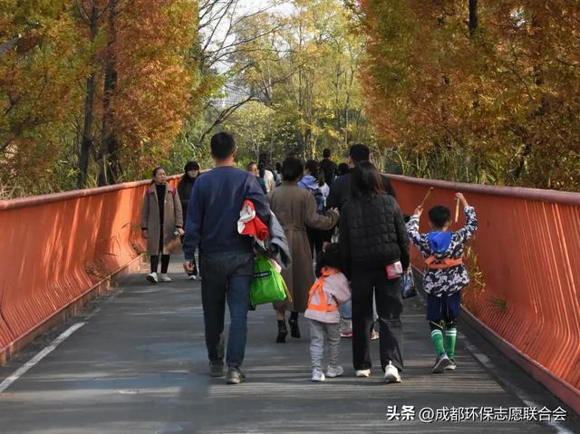 环保志愿 “趣”游蓉城|锦城湖“无痕自然”体验活动