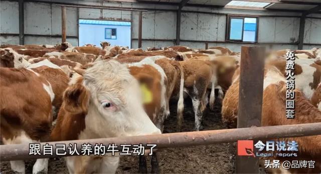 又一骗局暴雷！年化50%收益，让600多名老人投资款被骗