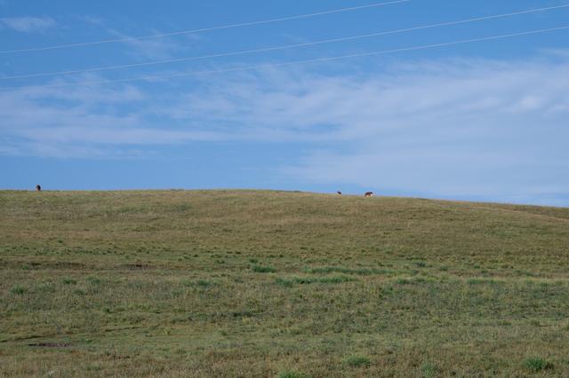 张掖山丹马场——祁连山脚下的大草原