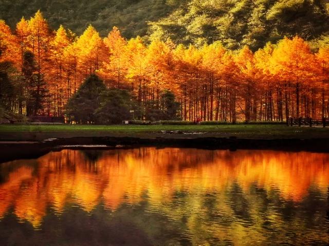 腾龙洞12月终极攻略,解锁地心秘境的冬日浪漫