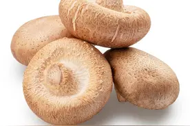 这食材一年四季都要吃，自带鲜香营养美味，常吃补肾壮阳益脑提神图片