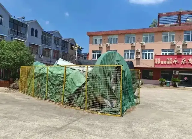 注销戒牒后，中国佛教协会再表态，释永信的下场比想象中更严重