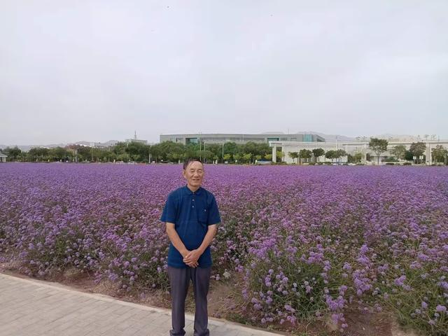 又踏甘肃地之三十五 金昌篇之五 紫金花海（1）