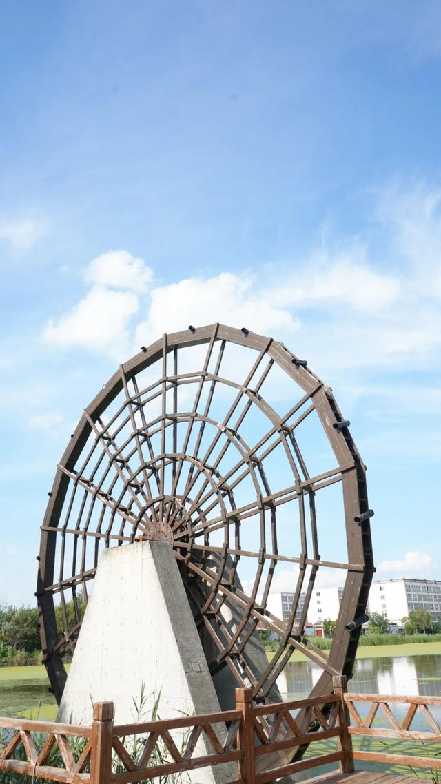 济宁隐藏款！梦里水乡的慢生活，太惬意了