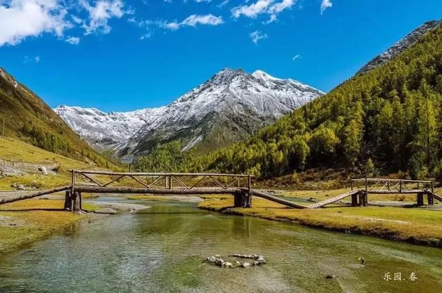 接下来，小金是这样的~