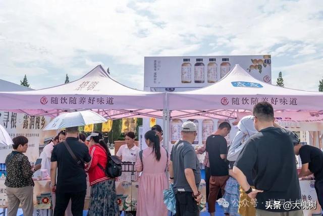 植饮寻根 露润槐乡洪洞大槐树景区孝德文化节不一样的体验