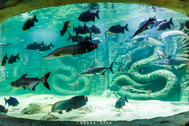 刷爆番禺人朋友圈的新地标，18000㎡的空间究竟藏着什么？