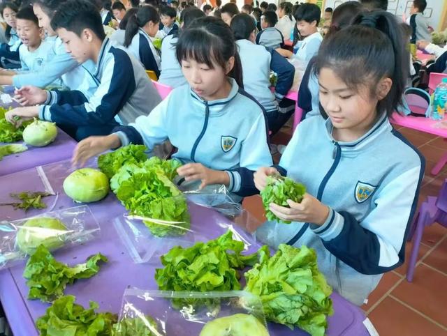 牛耕、捉泥鳅、长桌宴......厦门这片田园,承包你整个夏天的快乐!