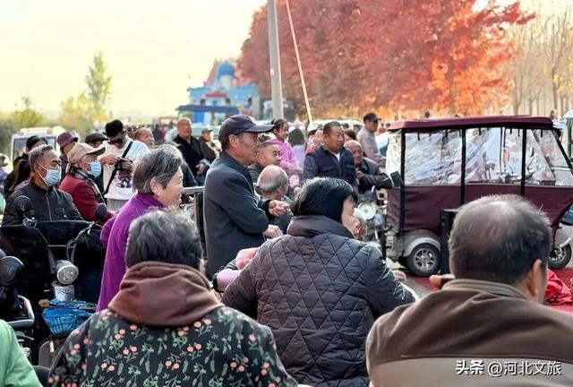 河北肃宁：红枫似火引客来 人文生态共绘秋韵画卷