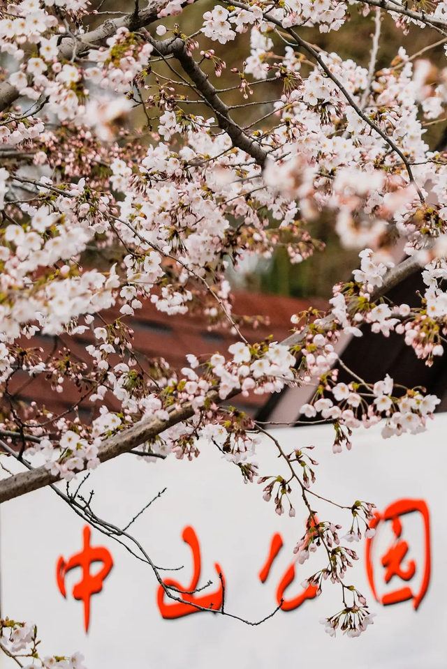 董宇辉向世界推荐，“请花几天时间去山东”！