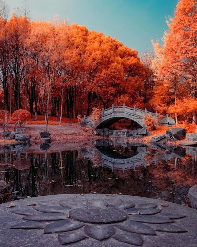 全球最迷人的秋景，简直太醉人了！