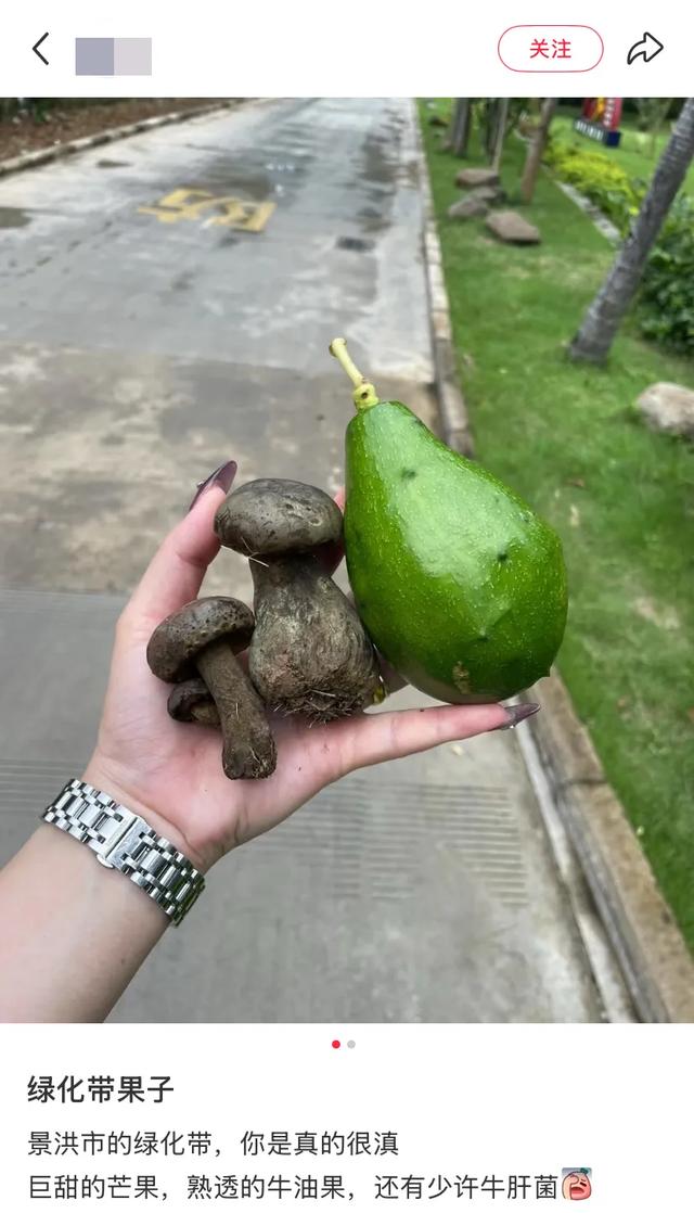 这可能是我买过的最离谱的特产: