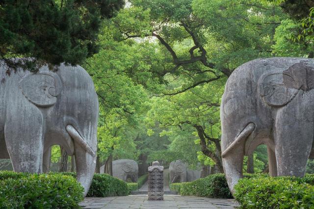 终于知道自己有多愚蠢了：南京还是太低调了，文旅都不上班吗？