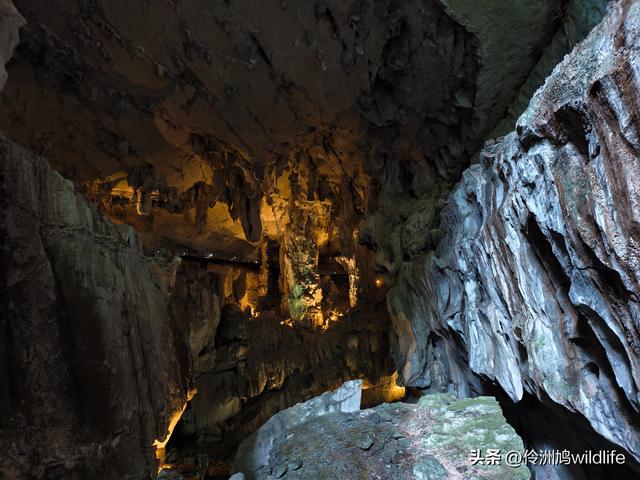 马来西亚(29)砂拉越州③姆鲁山清水洞·风洞