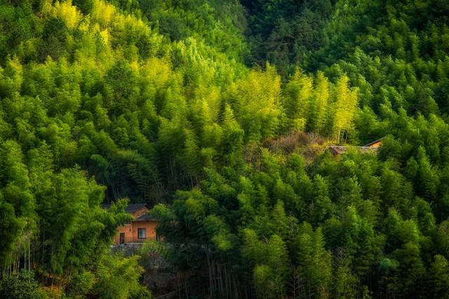 青山绿水，人间至美的财富诗章